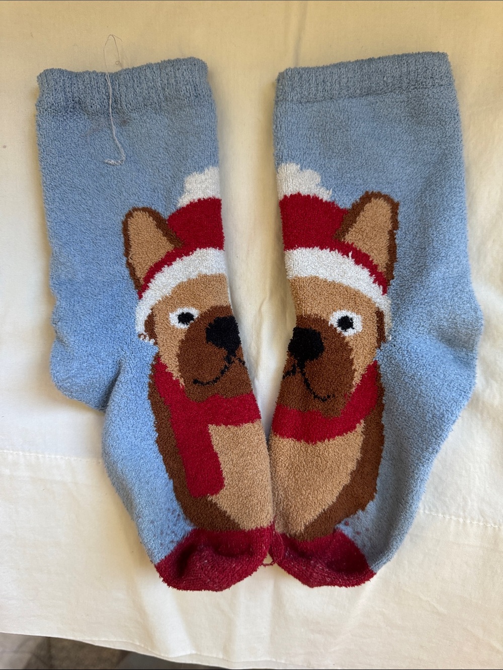 Cozy Blue Holiday Dog Fuzzy Socks